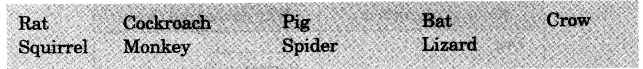 NCERT Solutions for 3rd Class Environmental Studies: Chapter 19-Our Friends-Animal Que. 14