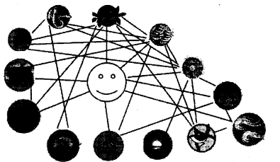 NCERT Solutions for 3rd Class Environmental Studies: Chapter 24-Web of Life Que. 2