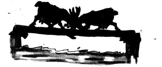 NCERT Solutions for 3rd Class English: Chapter 10-The Ship of the Desert 
Let’s Write
(1)