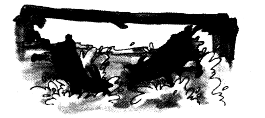 NCERT Solutions for 3rd Class English: Chapter 10-The Ship of the Desert 
Let’s Write
(1)