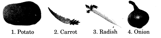 NCERT Solutions for 3rd Class English: Chapter 3-The Enormous Turnip
Talk Time
(i)