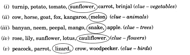 NCERT Solutions for 3rd Class English: Chapter 3-The Enormous Turnip
Vocabulary
(1)