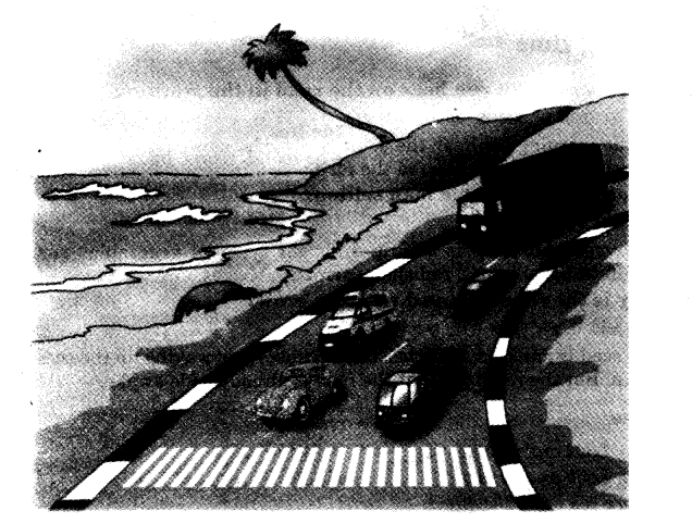 NCERT Solutions for 3rd Class English: Chapter 6-The Story of The Road 
Team Time
(1)