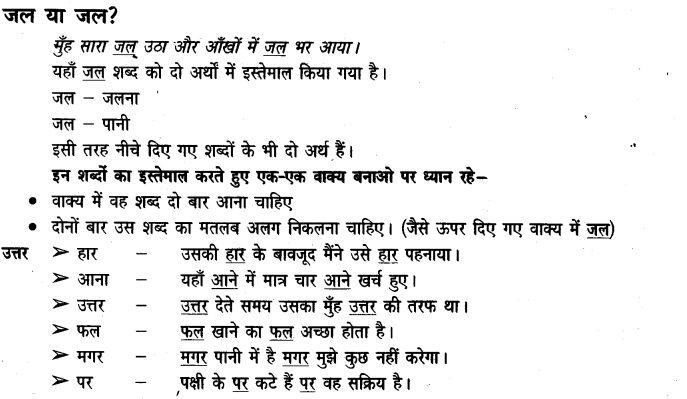 NCERT Solutions for Class 3rd  Hindi: Chapter 13-मिर्च का मज़ा