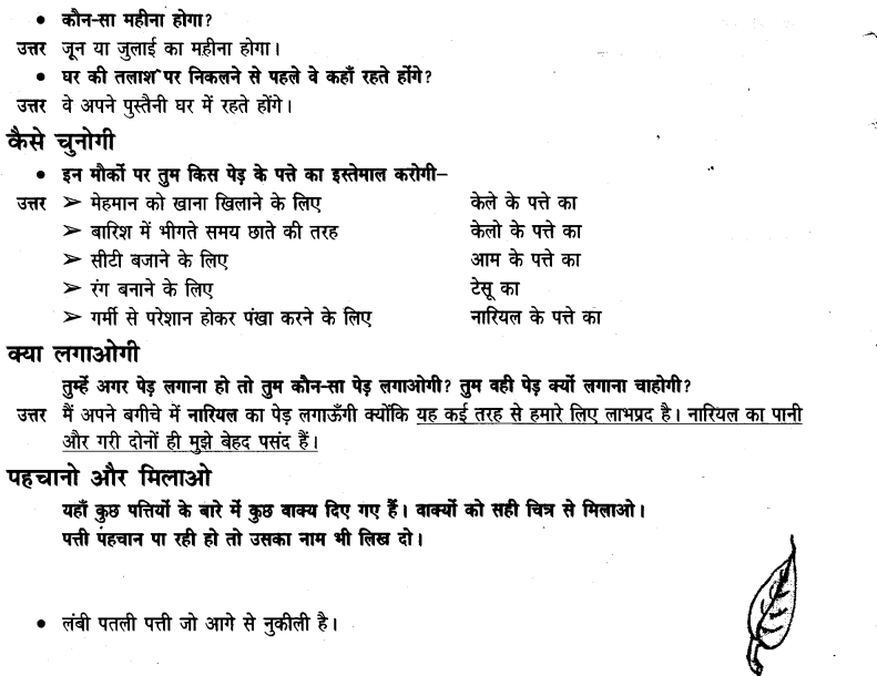 NCERT Solutions for Class 3rd  Hindi: Chapter 14-सबसे अच्छा पेड़