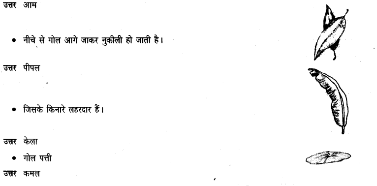 NCERT Solutions for Class 3rd  Hindi: Chapter 14-सबसे अच्छा पेड़