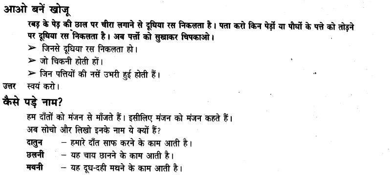 NCERT Solutions for Class 3rd  Hindi: Chapter 14-सबसे अच्छा पेड़