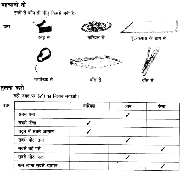 NCERT Solutions for Class 3rd  Hindi: Chapter 14-सबसे अच्छा पेड़