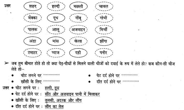 NCERT Solutions for Class 3rd Environmental Science –(पर्यावरण अध्ययन): Chapter 14-कहां से आया ,किसने पकाया?