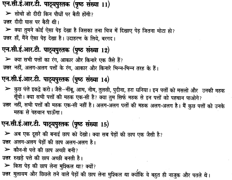 NCERT Solutions for Class 3rd  Environmental Science –(पर्यावरण अध्ययन): Chapter 2-पाैधों की परी