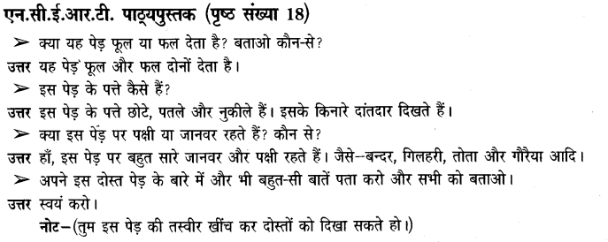 NCERT Solutions for Class 3rd  Environmental Science –(पर्यावरण अध्ययन): Chapter 2-पाैधों की परी