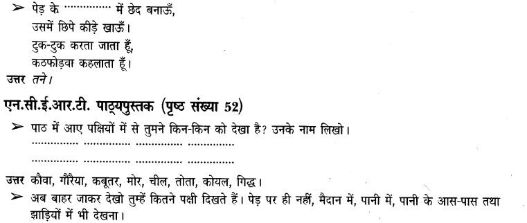 NCERT Solutions for Class 3rd Environmental Science –(पर्यावरण अध्ययन): Chapter 8-पंख फैलाए उड़ते जाएं