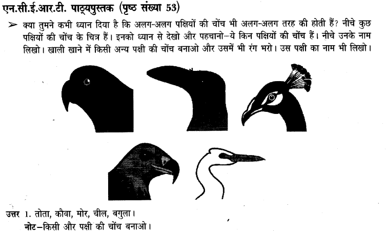 NCERT Solutions for Class 3rd Environmental Science –(पर्यावरण अध्ययन): Chapter 8-पंख फैलाए उड़ते जाएं