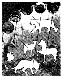 NCERT Solutions for 4th Class Environmental Studies Chapter 2-Ear To Ear