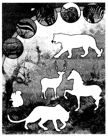 NCERT Solutions for 4th Class Environmental Studies Chapter 2-Ear To Ear