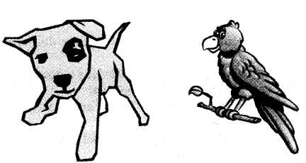 NCERT Solutions for 4th Class Environmental Studies Chapter 2-Ear To Ear