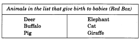 NCERT Solutions for 4th Class Environmental Studies Chapter 2-Ear To Ear