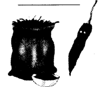 NCERT Solutions for 4th Class Environmental Studies Chapter 25-Spicy Riddles