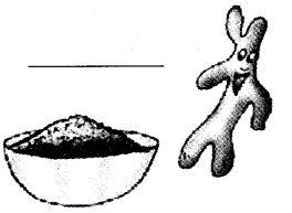 NCERT Solutions for 4th Class Environmental Studies Chapter 25-Spicy Riddles