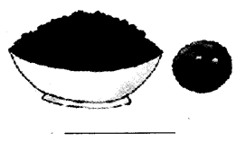 NCERT Solutions for 4th Class Environmental Studies Chapter 25-Spicy Riddles