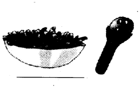 NCERT Solutions for 4th Class Environmental Studies Chapter 25-Spicy Riddles