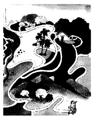 NCERT Solutions for 4th Class Environmental Studies Chapter 27-Chuskit Goes To School
