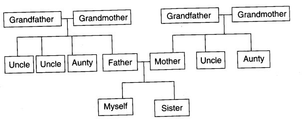 NCERT Solutions for 4th Class Environmental Studies Chapter 9-Changing Families