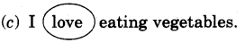 NCERT Solutions for 4th Class English: Chapter 4-THE LITTLE FIR TREE