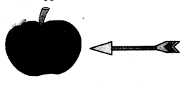 NCERT Solutions for 4th Class English: Chapter 6-NASRUDDIN’S AIM