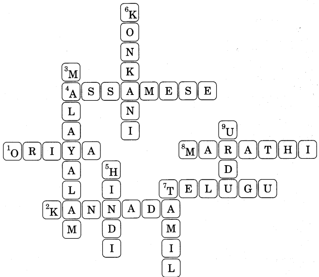 NCERT Solutions for 4th Class English:Chapter 14-The Scholar’s Mother Tongue