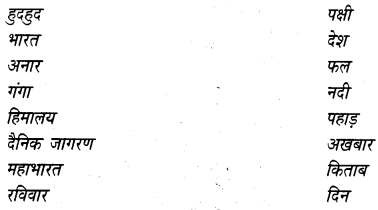 NCERT Solutions for 4th Class Hindi: Chapter 13-हुदहुद