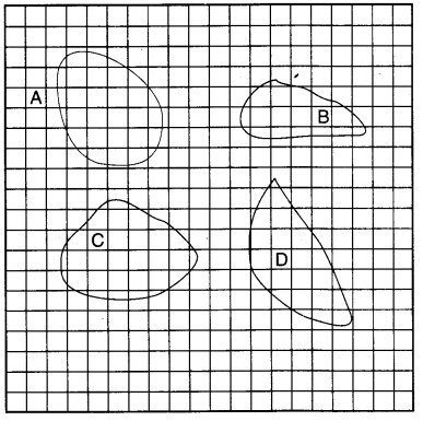 NCERT Solutions for 4th Class Maths Chapter 13-Fields And Fences