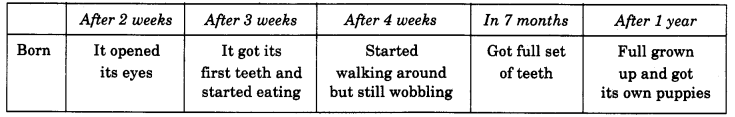 NCERT Solutions for 4th Class Maths Chapter 4-Tick-Tick-Tick