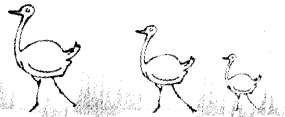 NCERT Solutions for 4th Class Maths Chapter 4-Tick-Tick-Tick
