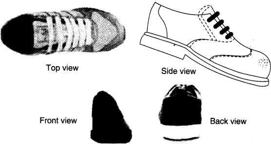 NCERT Solutions for 4th Class Maths Chapter 5-The Way The World Looks