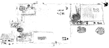 NCERT Solutions for 4th Class Maths Chapter 5-The Way The World Looks