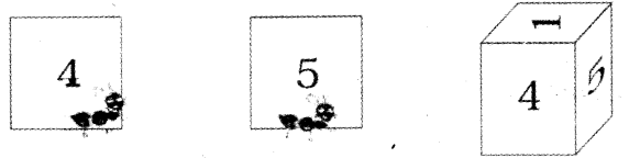 NCERT Solutions for 4th Class Maths Chapter 5-The Way The World Looks