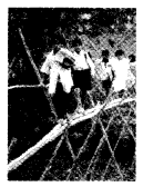 NCERT Solutions for 4th Class Environmental Science –(पर्यावरण अध्ययन): Chapter 1-चलो ,चलें स्कूल!
