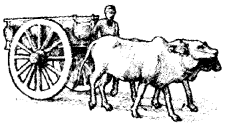 NCERT Solutions for 4th Class Environmental Science –(पर्यावरण अध्ययन): Chapter 1-चलो ,चलें स्कूल!