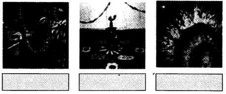 NCERT Solutions for 4th Class Environmental Science –(पर्यावरण अध्ययन): Chapter 11-फुलवारी