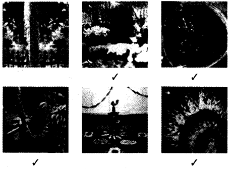 NCERT Solutions for 4th Class Environmental Science –(पर्यावरण अध्ययन): Chapter 11-फुलवारी