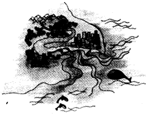 NCERT Solutions for 4th Class Environmental Science –(पर्यावरण अध्ययन): Chapter 13-पहाडों से समुंदर तक