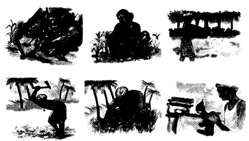 NCERT Solutions for 4th Class Environmental Science –(पर्यावरण अध्ययन): Chapter 14-बसवा का खेत