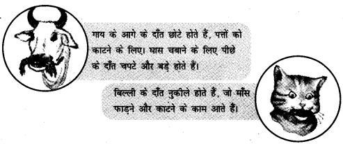 NCERT Solutions for 4th Class Environmental Science –(पर्यावरण अध्ययन): Chapter 16-चूँ -चूँ करती आई चिड़िया