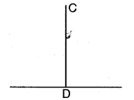 NCERT Solutions for 5th Class Maths Chapter 10-Tenths And Hundredths