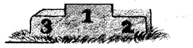 NCERT Solutions for 5th Class Maths Chapter 10-Tenths And Hundredths