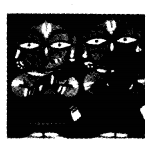 NCERT Solutions for 5th Class Maths Chapter 11-Area and Its Boundary
