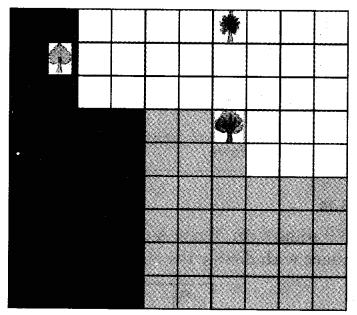NCERT Solutions for 5th Class Maths Chapter 11-Area and Its Boundary