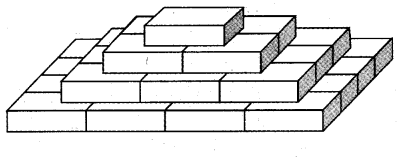 NCERT Solutions for 5th Class Maths Chapter 14-How Big? How Heavy?