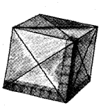 NCERT Solutions for 5th Class Maths Chapter 14-How Big? How Heavy?